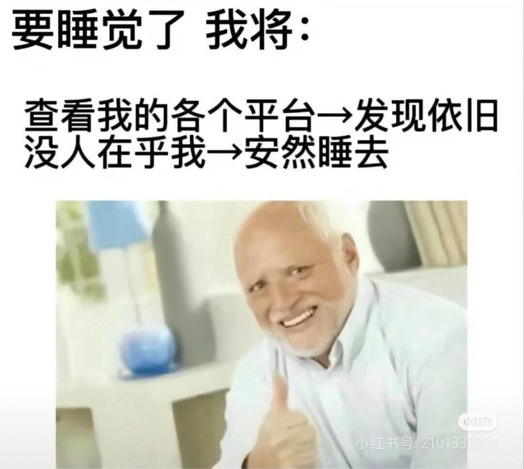 要睡觉了我将：查看我的各个平台一发现依旧没人在乎我一安然睡去