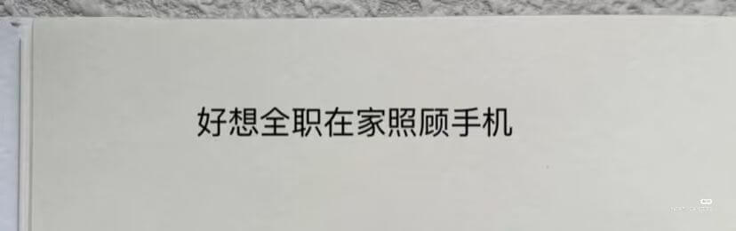 好想全职在家照顾手机