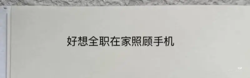 好想全职在家照顾手机