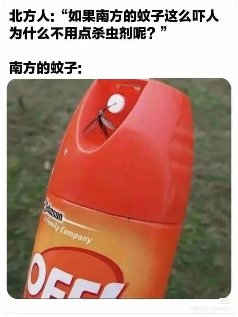 北方人：“如果南方的蚊子这么吓人，为什么不用点杀虫剂呢？”南