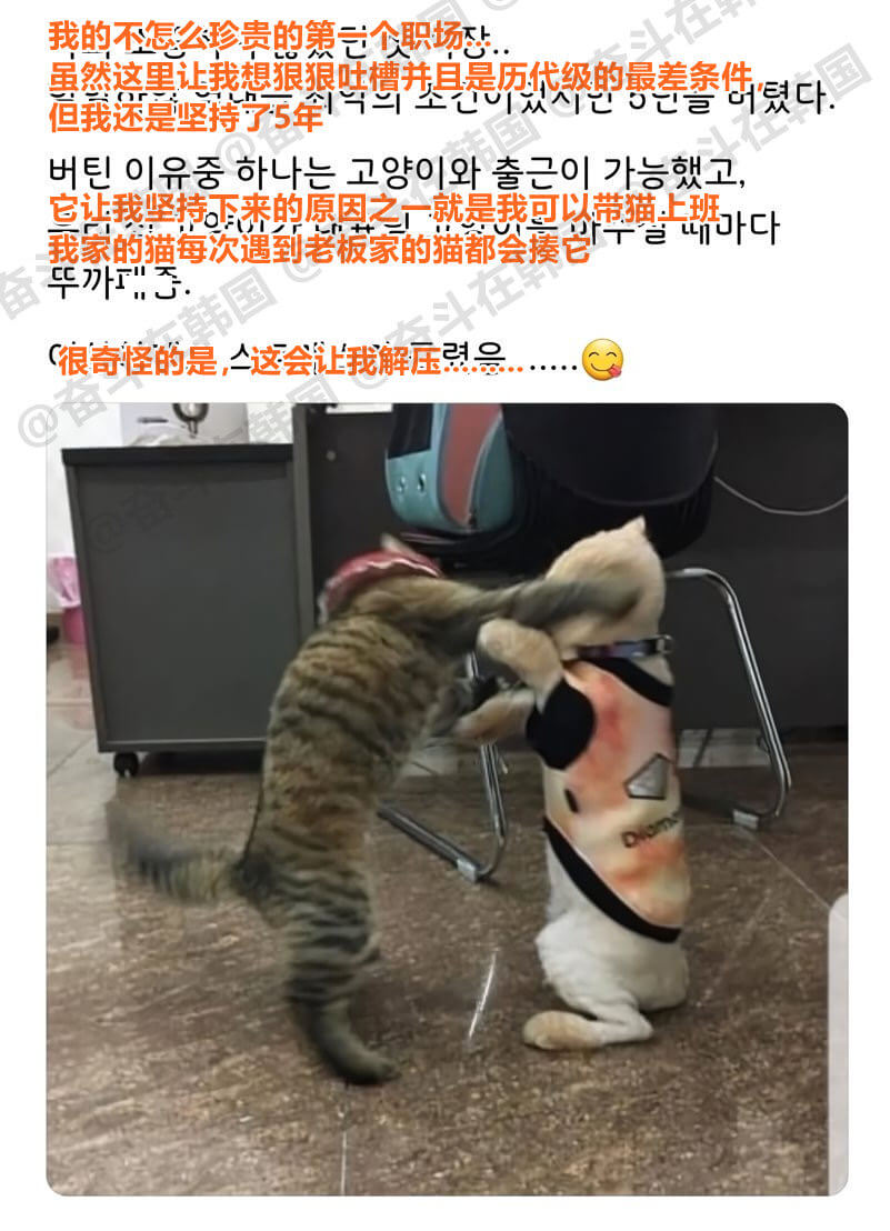 我的不怎么珍贵的第一个职场虽然这里让我想狠狠吐槽，并且是历代