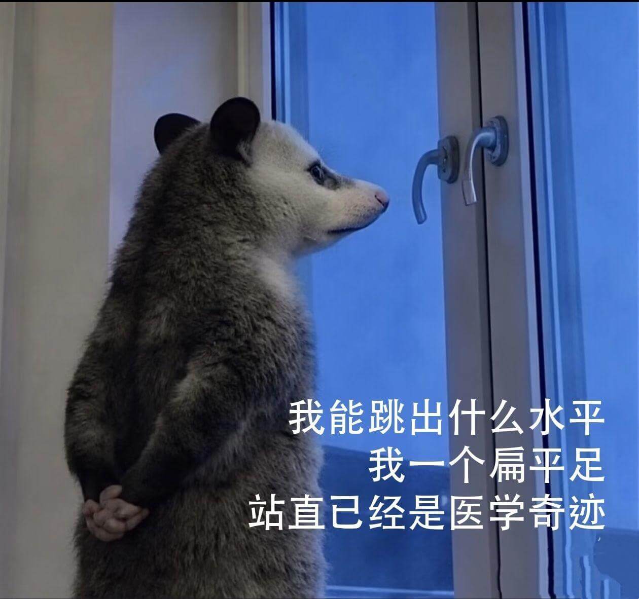 我能跳出什么水平？我一个扁平足，站直已经是医学奇迹。