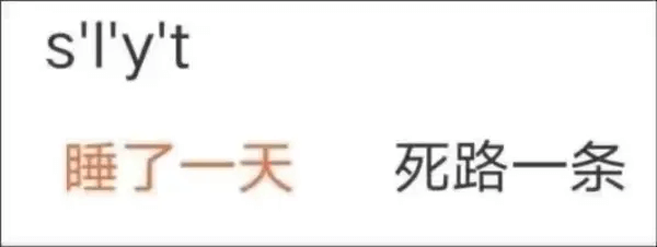 slyt睡了一天死路一条