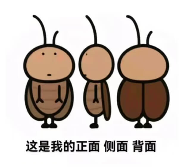 这是我的正面侧面背面
