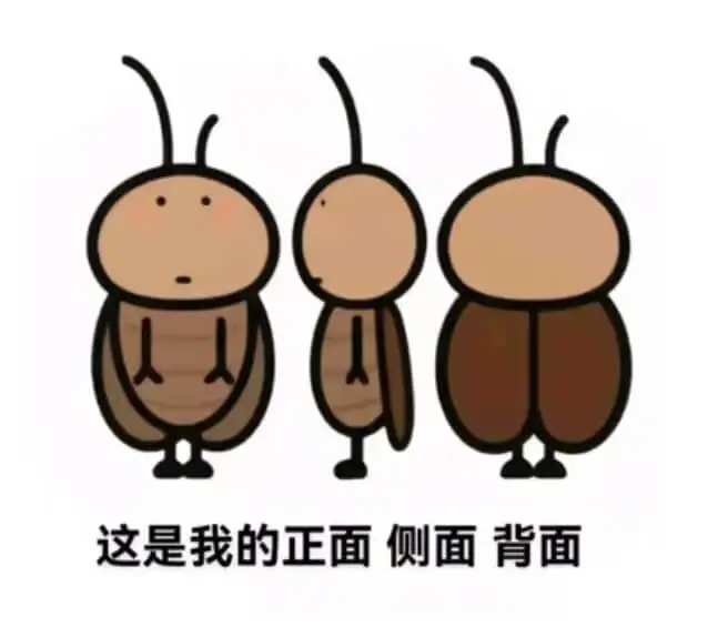 这是我的正面侧面背面
