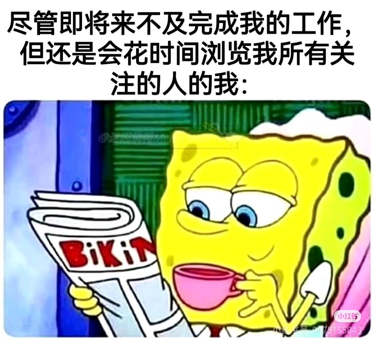 尽管即将来不及完成我的工作，但还是会花时间浏览我所有关注的人