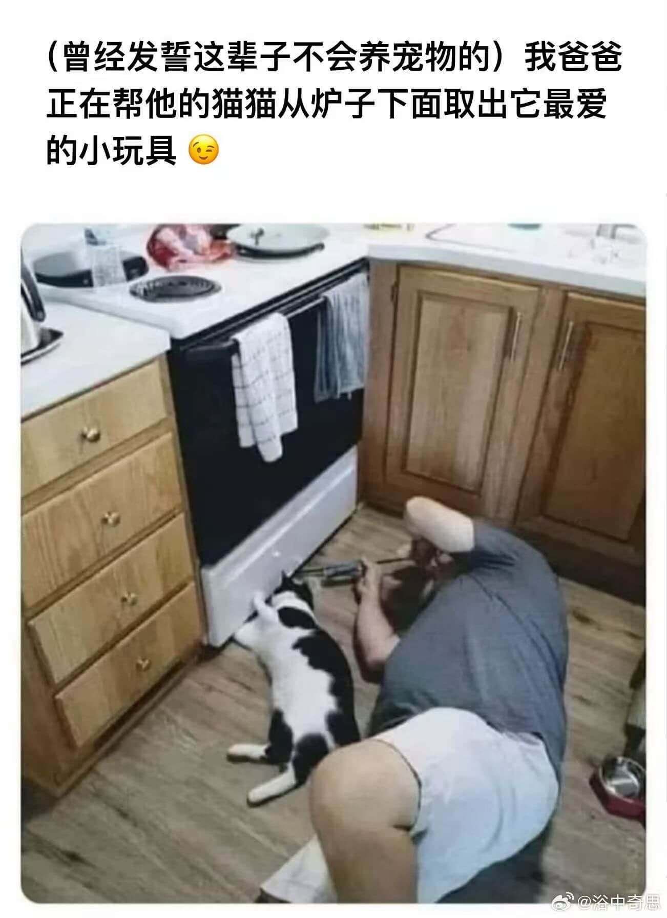 （曾经发誓这辈子不会养宠物的）我爸爸正在帮他的猫猫从炉子下面