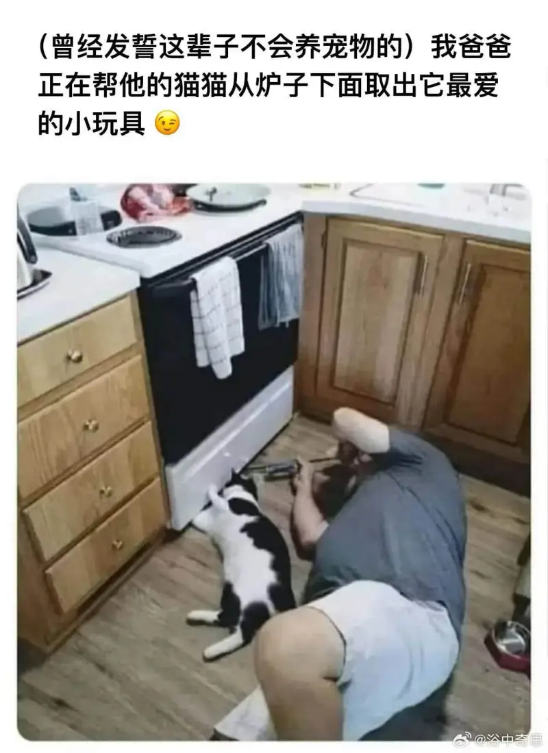 （曾经发誓这辈子不会养宠物的）我爸爸正在帮他的猫猫从炉子下面