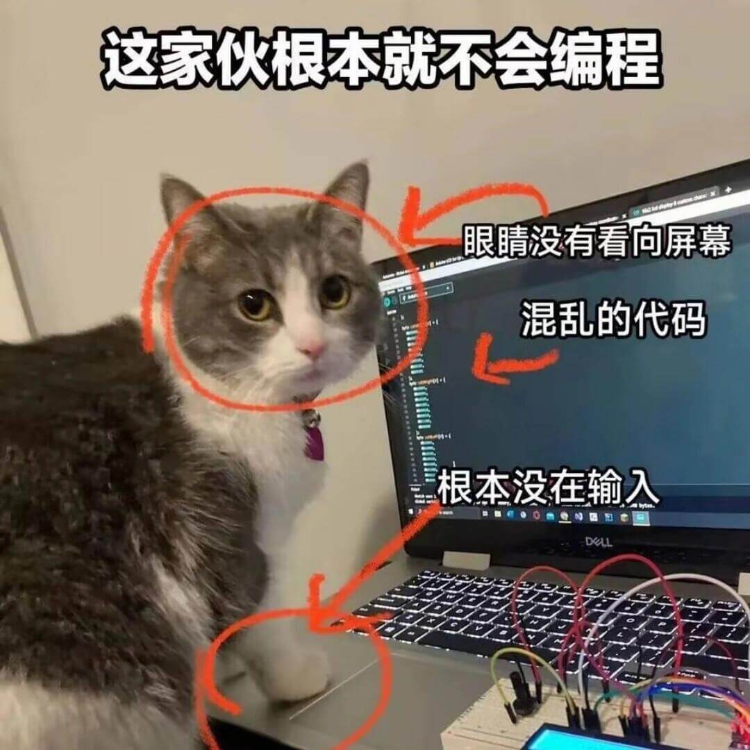 这家伙根本就不会编程，眼睛没有看向屏幕，混乱的代码，根本没在