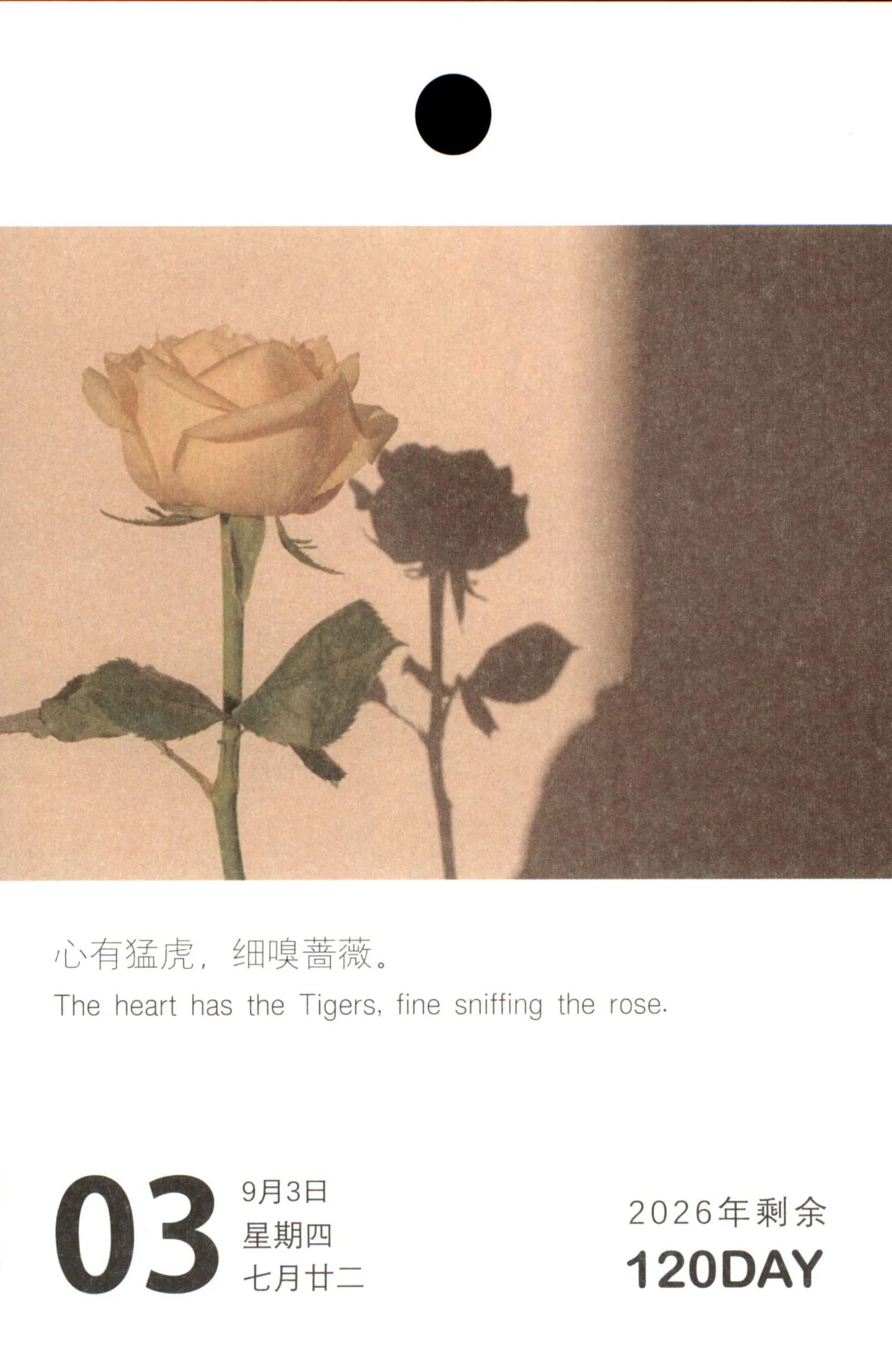 梗图