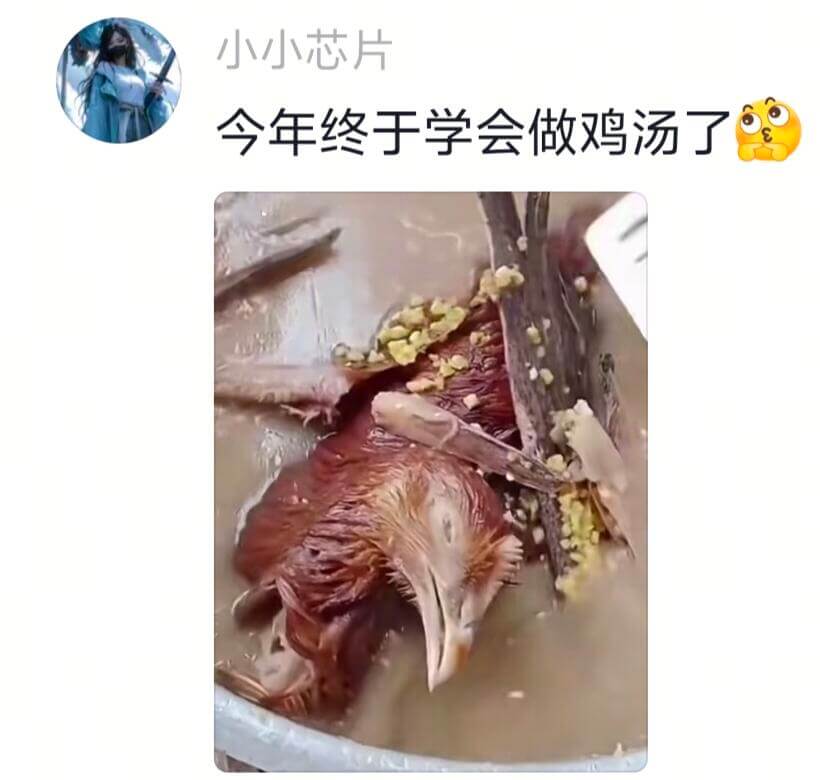 小小芯片今年终于学会做鸡汤了