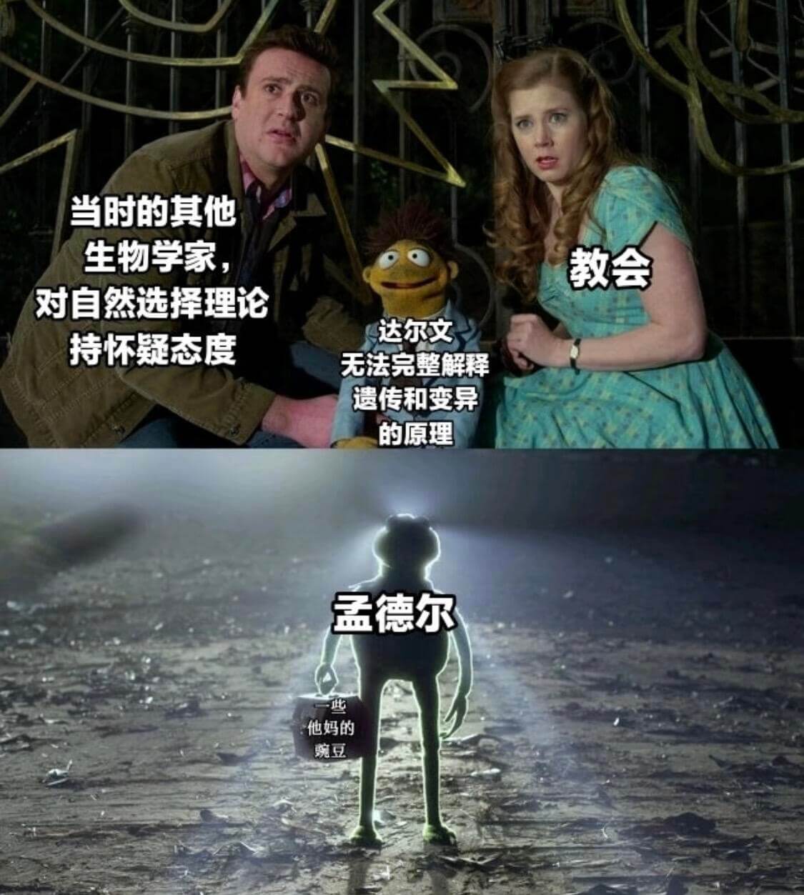 当时的其他生物学家对自然选择理论持怀疑态度达尔文无法完整解释