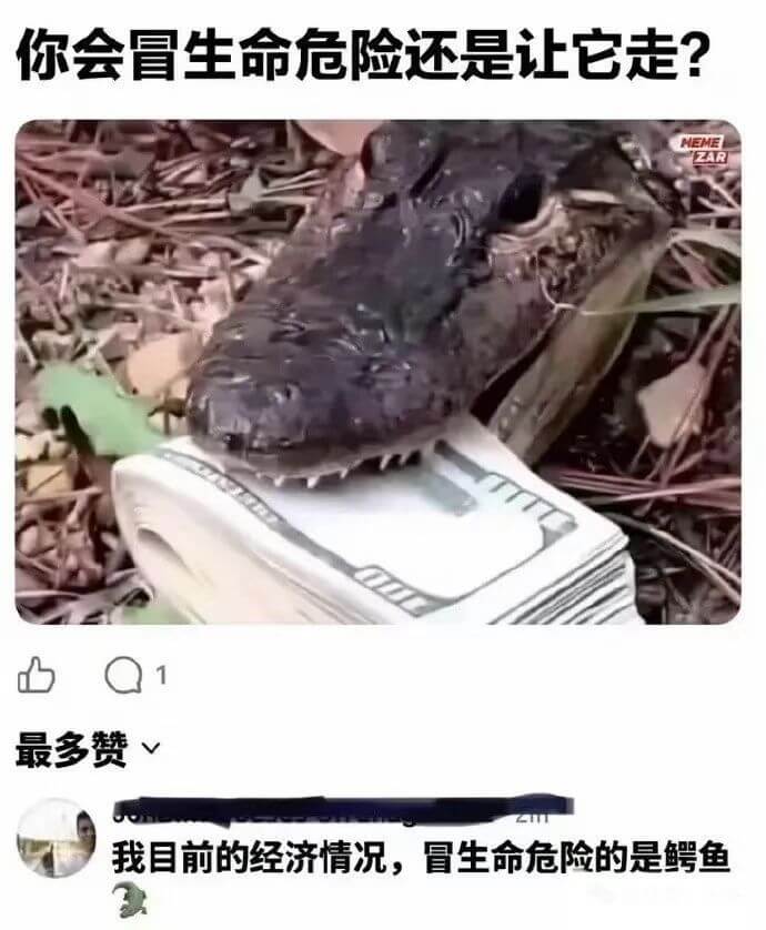 你会冒生命危险还是让它走？最多赞我目前的经济情况，冒生命危险