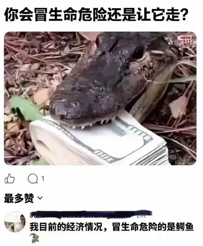 你会冒生命危险还是让它走？最多赞我目前的经济情况，冒生命危险