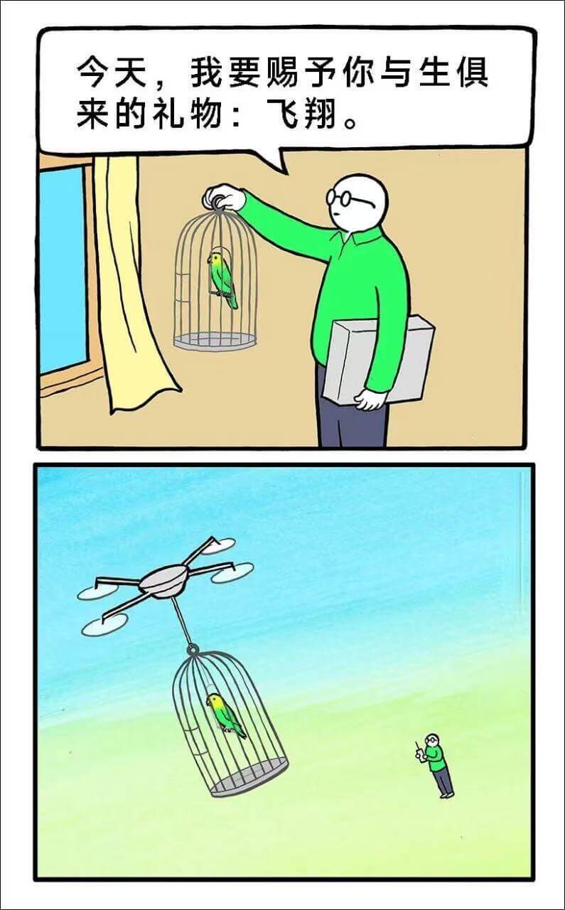 今天，我要赐予你与生俱来的礼物：飞翔。