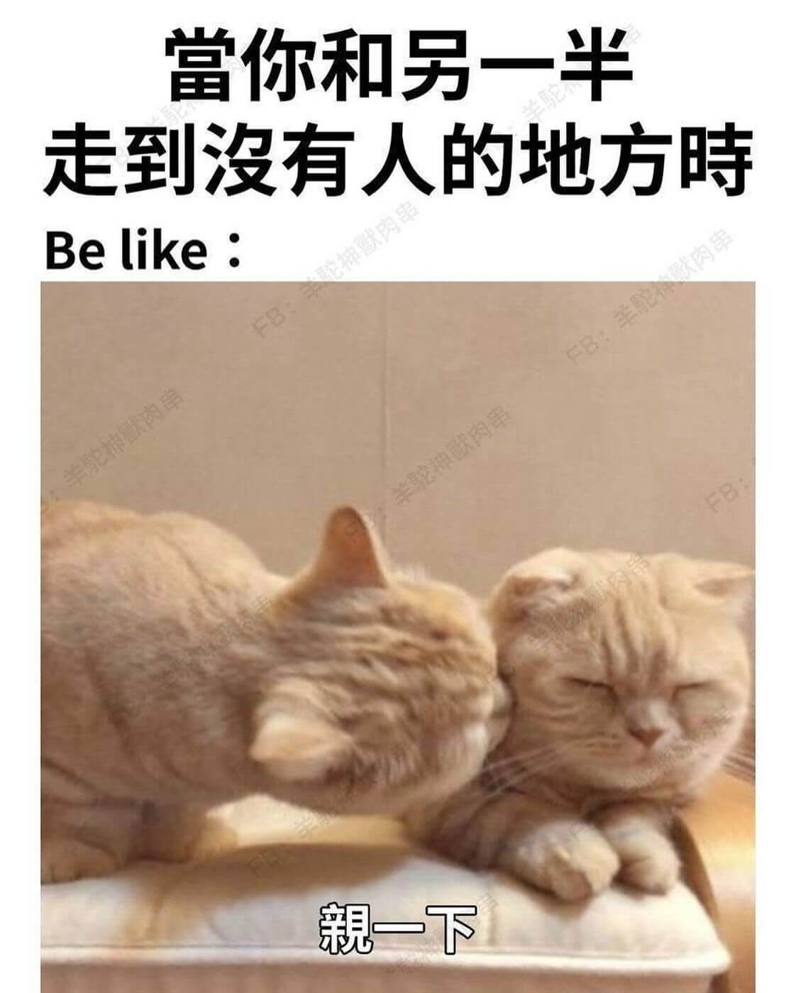 当你和另一半走到没有人的地方时Belike:神默肉酱默肉串羊