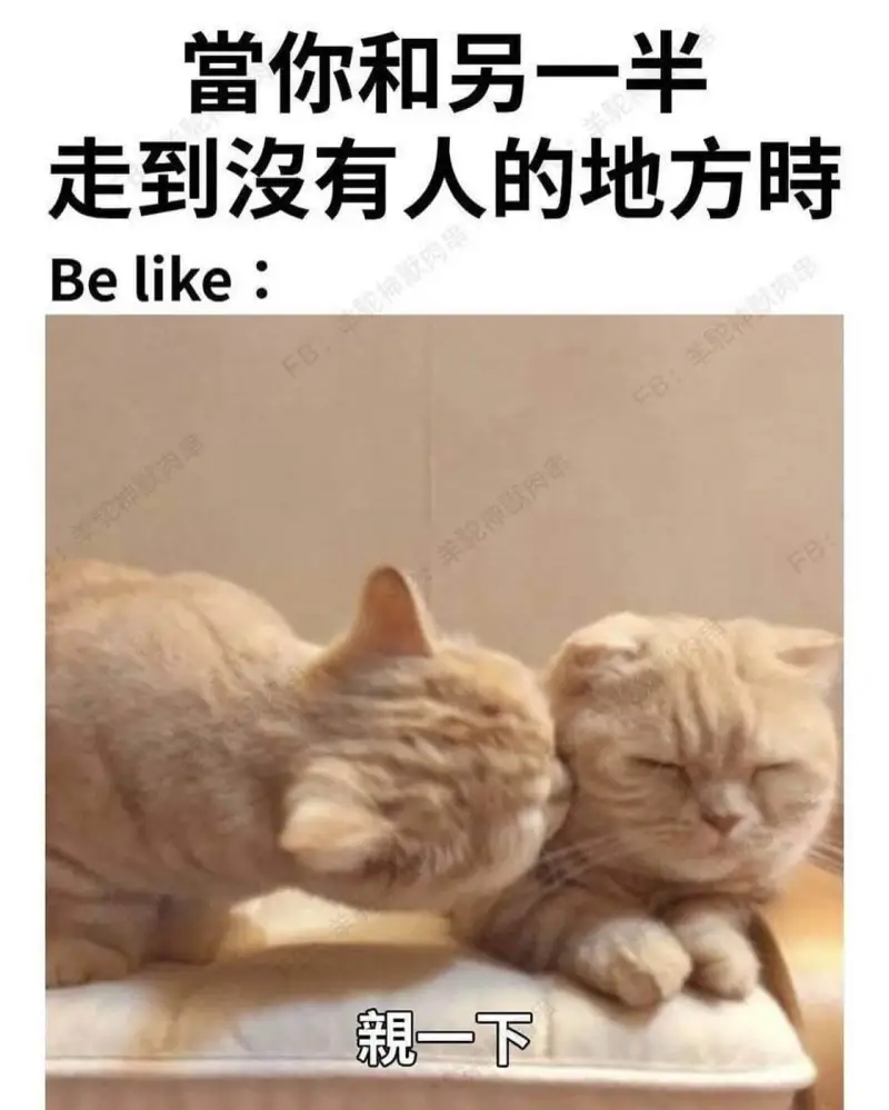 当你和另一半走到没有人的地方时Belike:神默肉酱默肉串羊