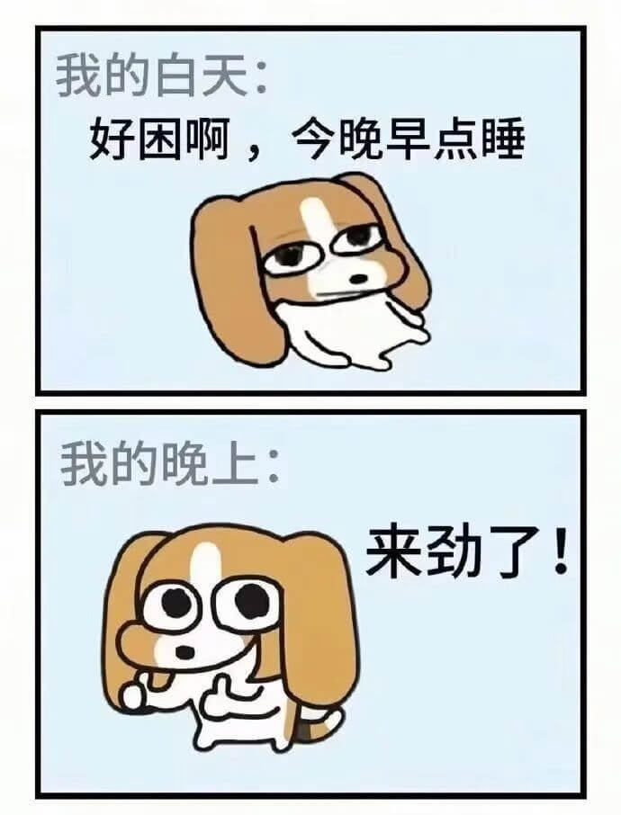 我的白天：好困啊，今晚早点睡。我的晚上：来劲了！