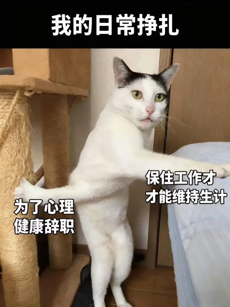 我的日常挣扎保住工作才能维持生计为了心理健康辞职