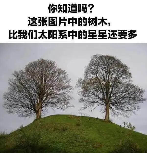 你知道吗？这张图片中的树木比我们太阳系中的星星还要多