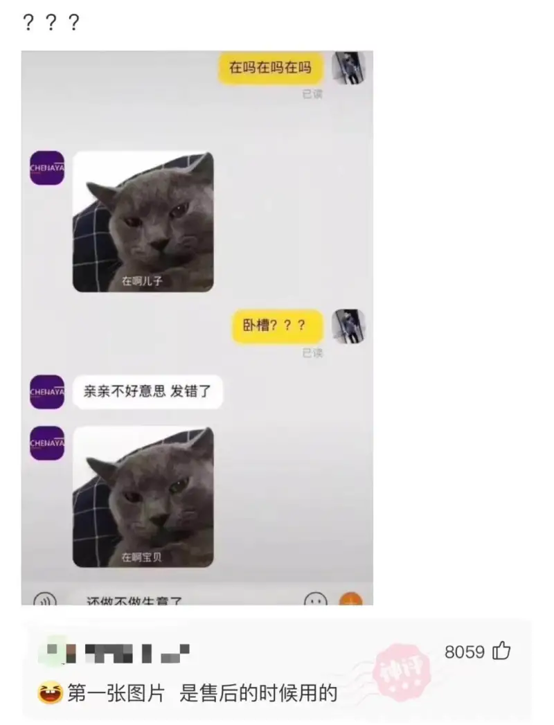 ???在吗在吗在吗已读CHEHAYA在啊儿子卧槽？？？已读C