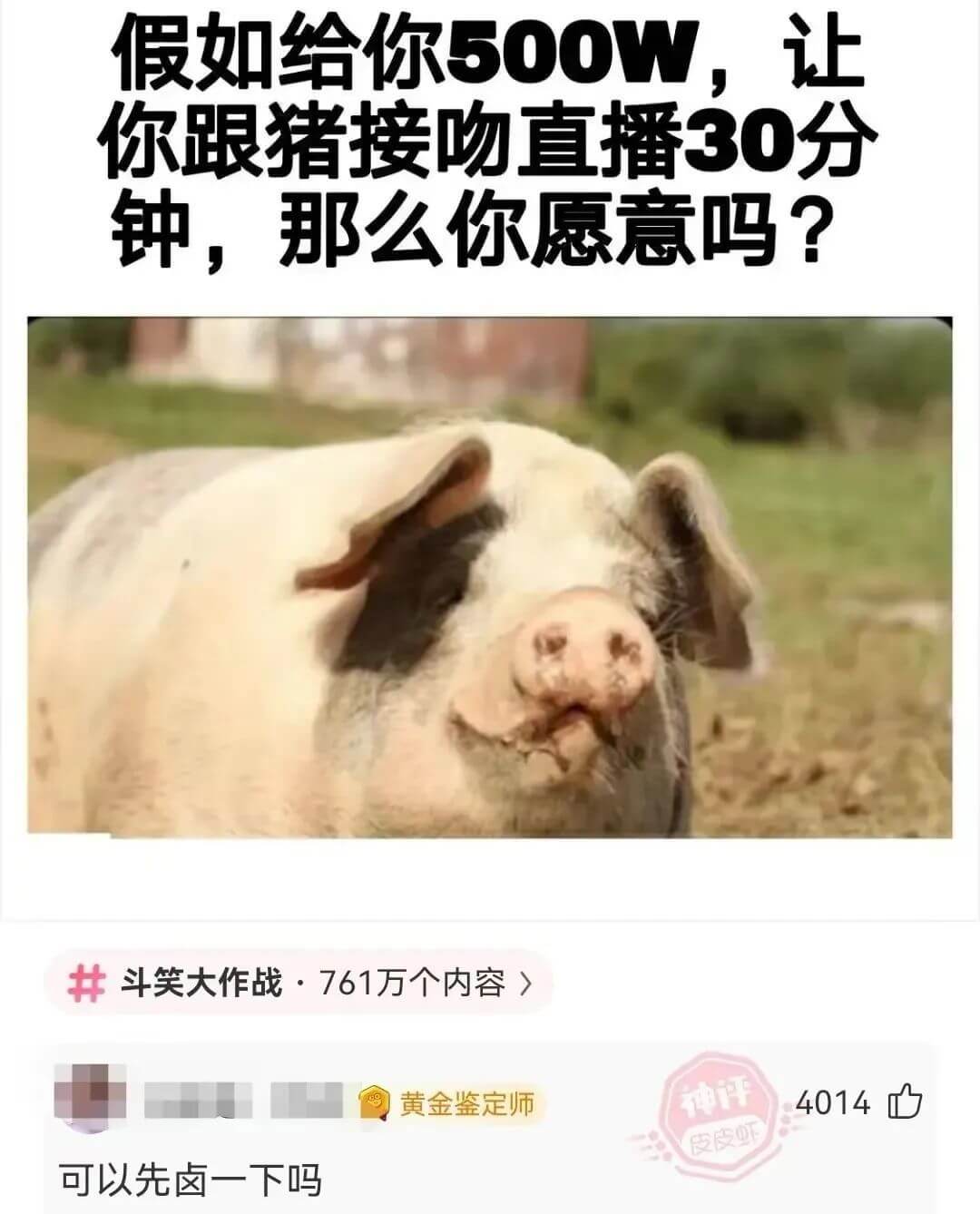 假如给你500W，让你跟猪接吻直播30分钟，那么你愿意吗？斗