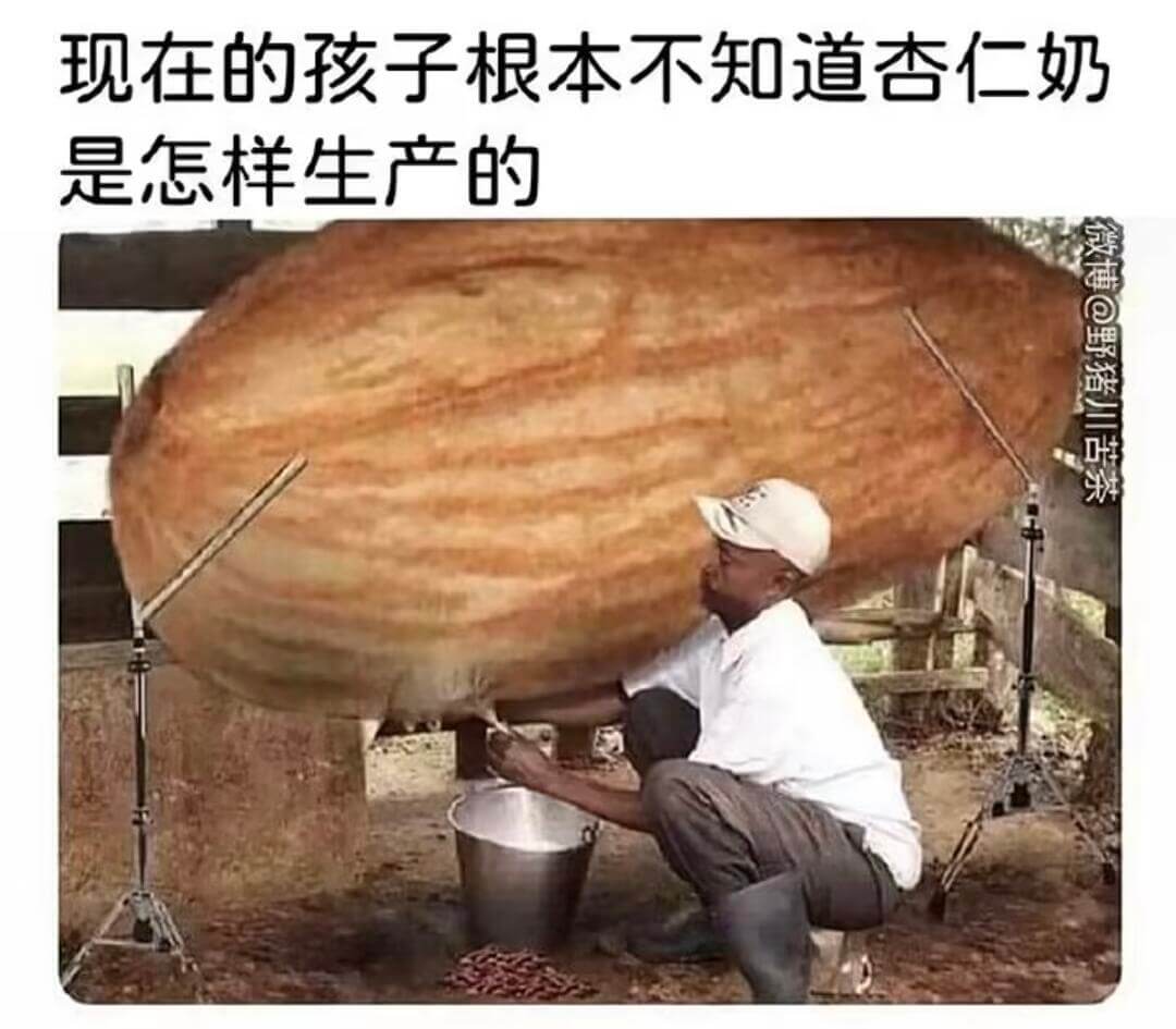 现在的孩子根本不知道奶粉是怎样生产的微博@野猪川苦茶