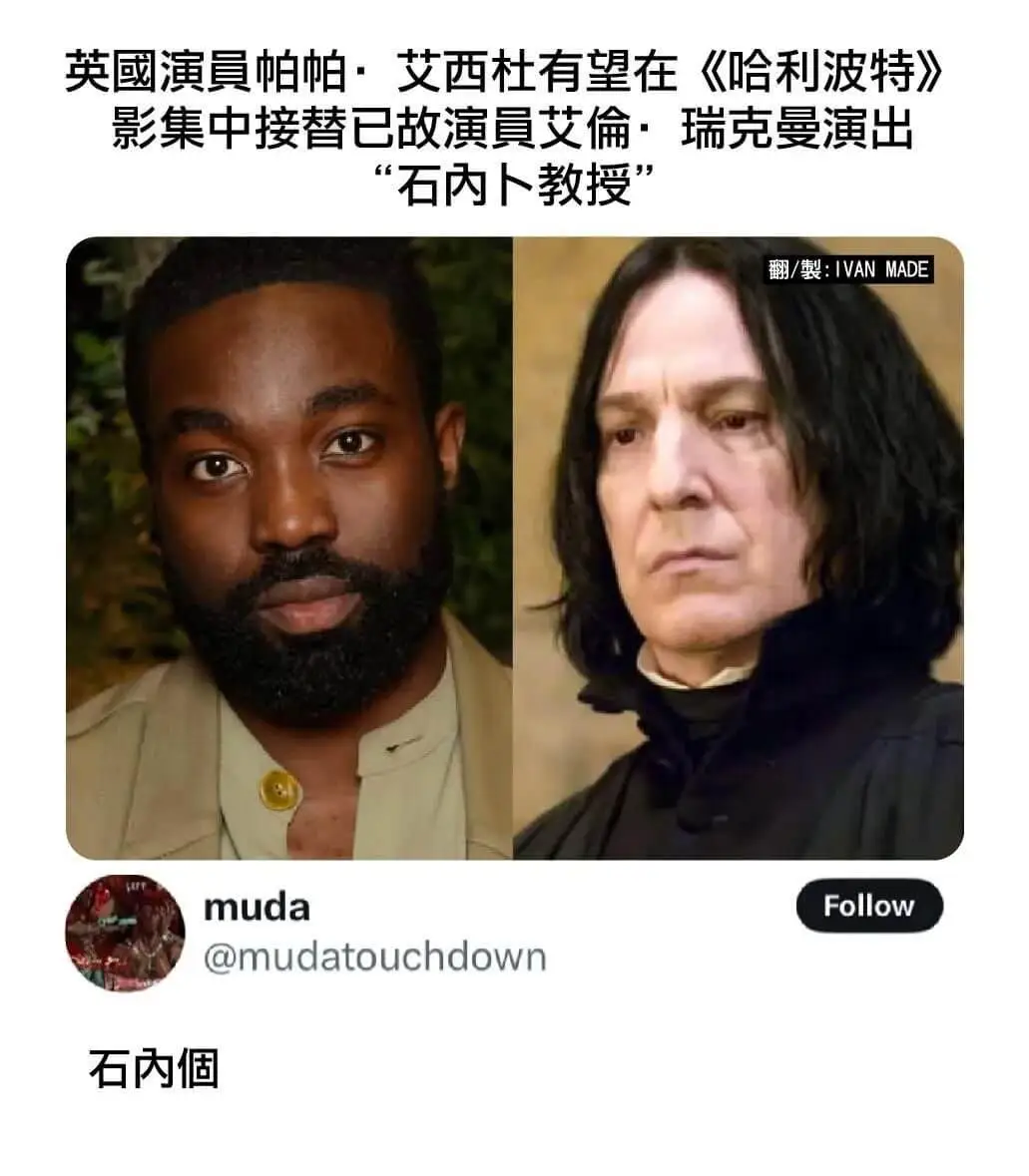 英國演員帕帕·艾西杜有望在《哈利波特》影集中接替已故演員艾倫