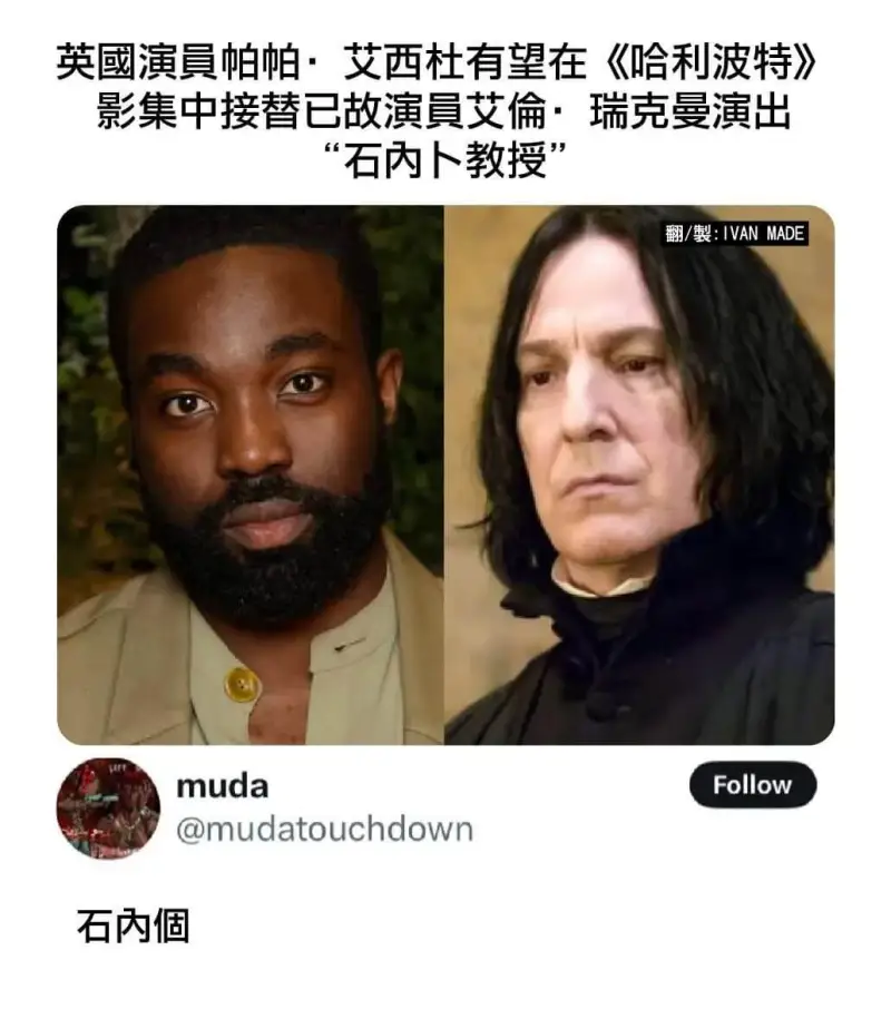 英國演員帕帕·艾西杜有望在《哈利波特》影集中接替已故演員艾倫
