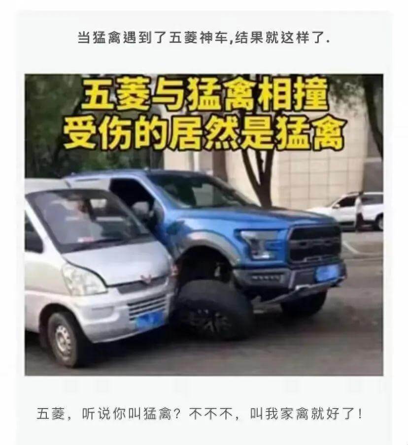 当猛禽遇到了五菱神车结果就这样了。五菱与猛禽相撞受伤的居然是