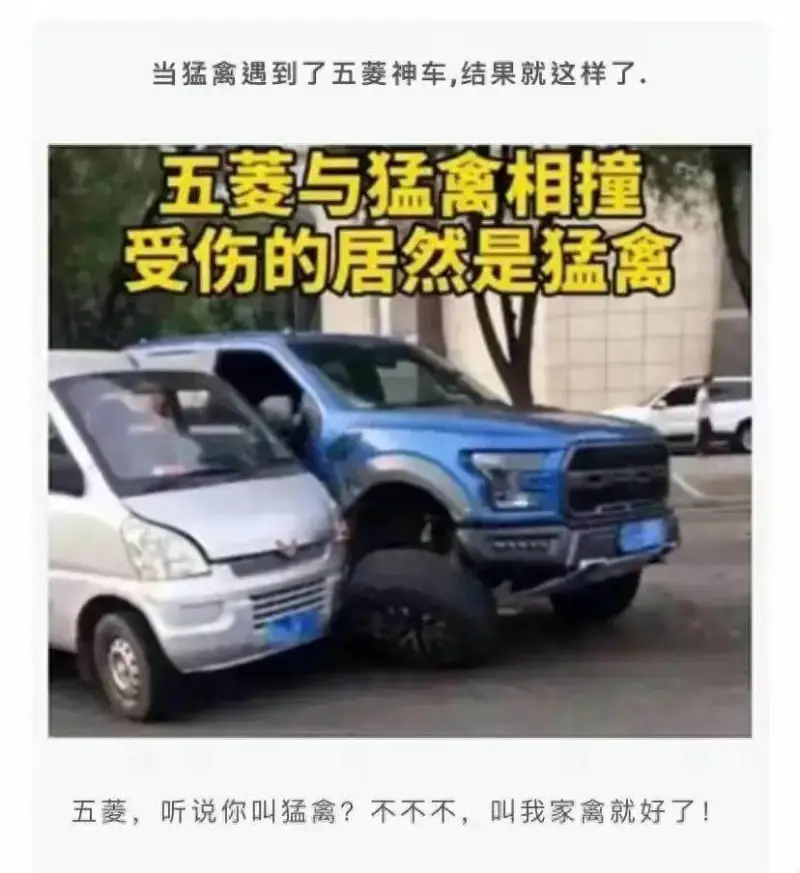当猛禽遇到了五菱神车结果就这样了。五菱与猛禽相撞受伤的居然是