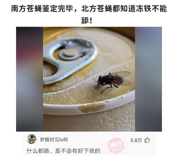 南方苍蝇鉴定完毕，北方苍蝇都知道冻铁不能舔！梦醒时见lu啊5