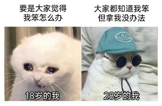 要是大家觉得我笨怎么办大家都知道我笨但拿我没办法18岁的我2