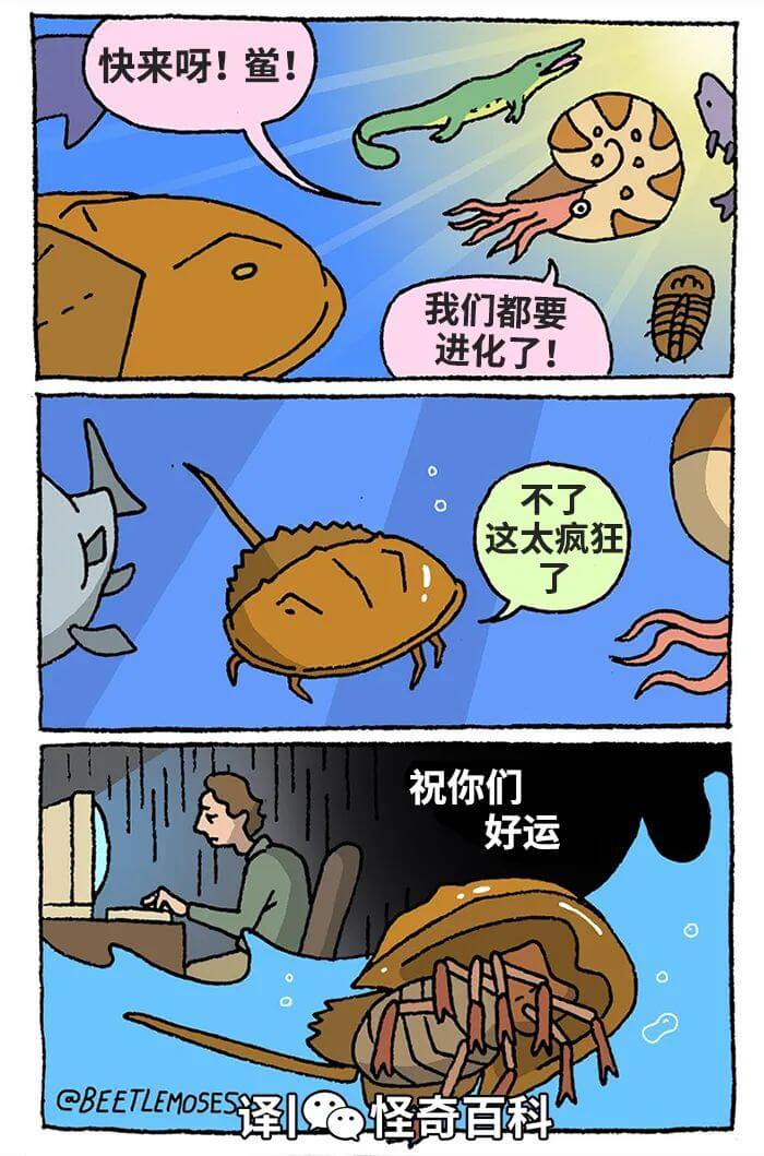 快来呀！鲨！我们都要进化了！不了这太疯狂了祝你们好运CBEE