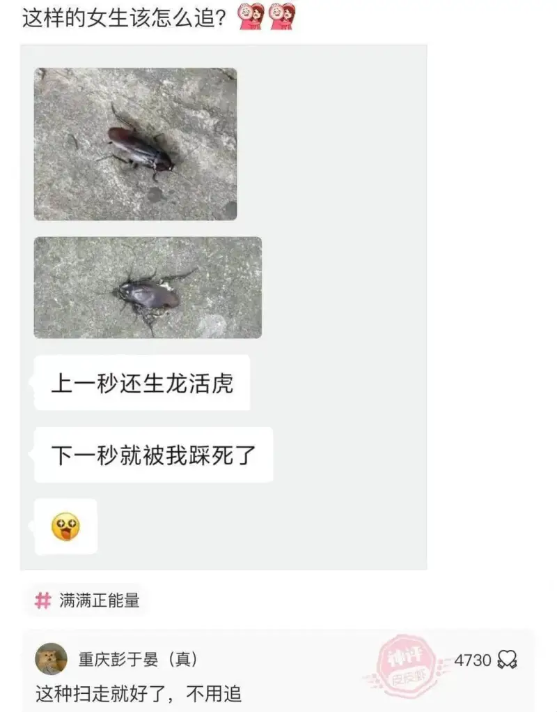 这样的女生该怎么追?上一秒还生龙活虎，下一秒就被我踩死了。满