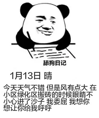舔狗日记1月13日晴今天天气不错，但是风有点大。在小区绿化区