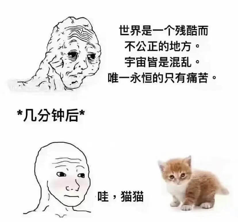 世界是一个残酷而不公正的地方。宇宙皆是混乱。唯一永恒的只有痛