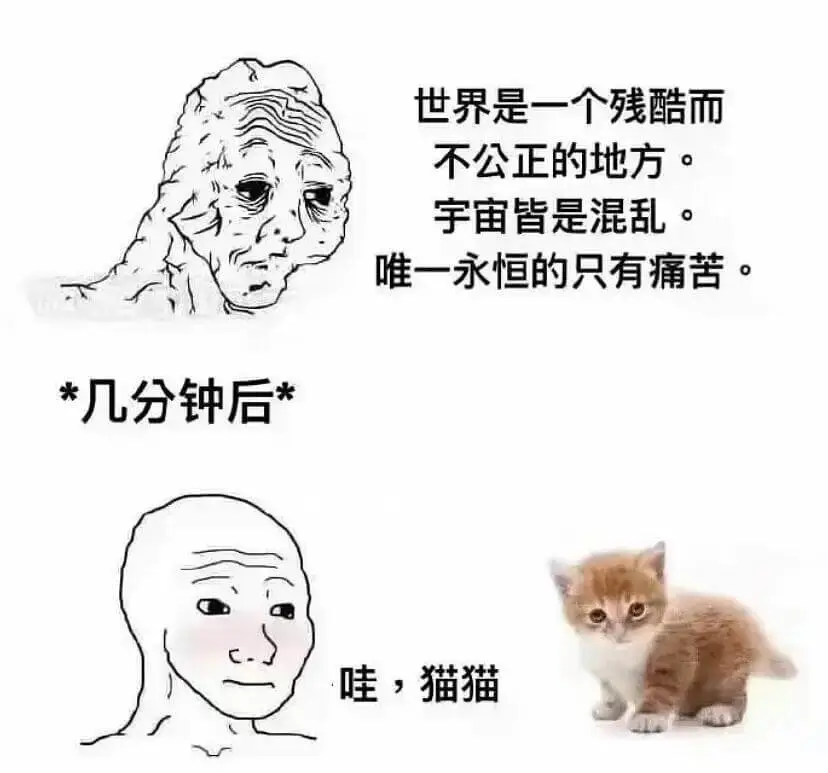 世界是一个残酷而不公正的地方。宇宙皆是混乱。唯一永恒的只有痛