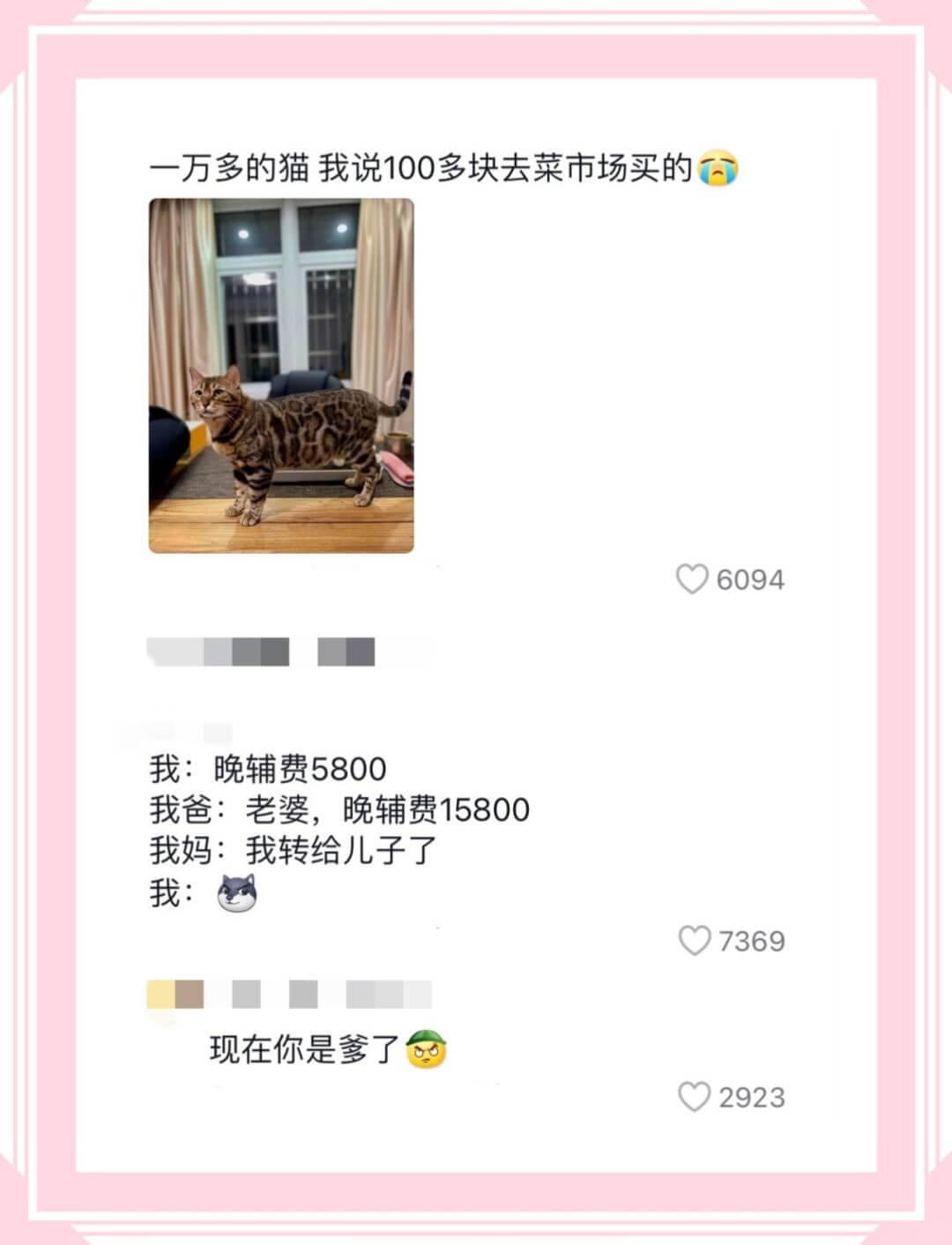 一万多的猫我说100多块去菜市场买的6094我:晚辅费580
