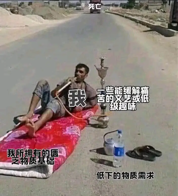 死亡这些能缓解痛苦的文艺或低级趣味，我所拥有的，是之物质基础