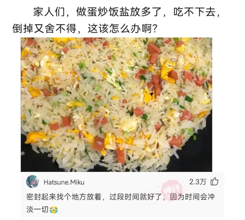 家人们，做蛋炒饭盐放多了，吃不下去，倒掉又舍不得，这该怎么办