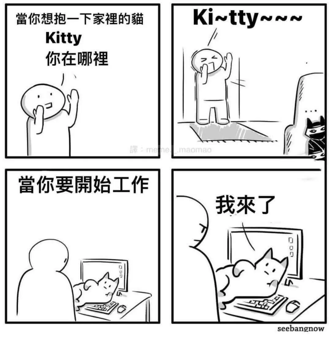 Kitty~nN当你想抱一下家里的猫Kitty你在哪裡泽:m