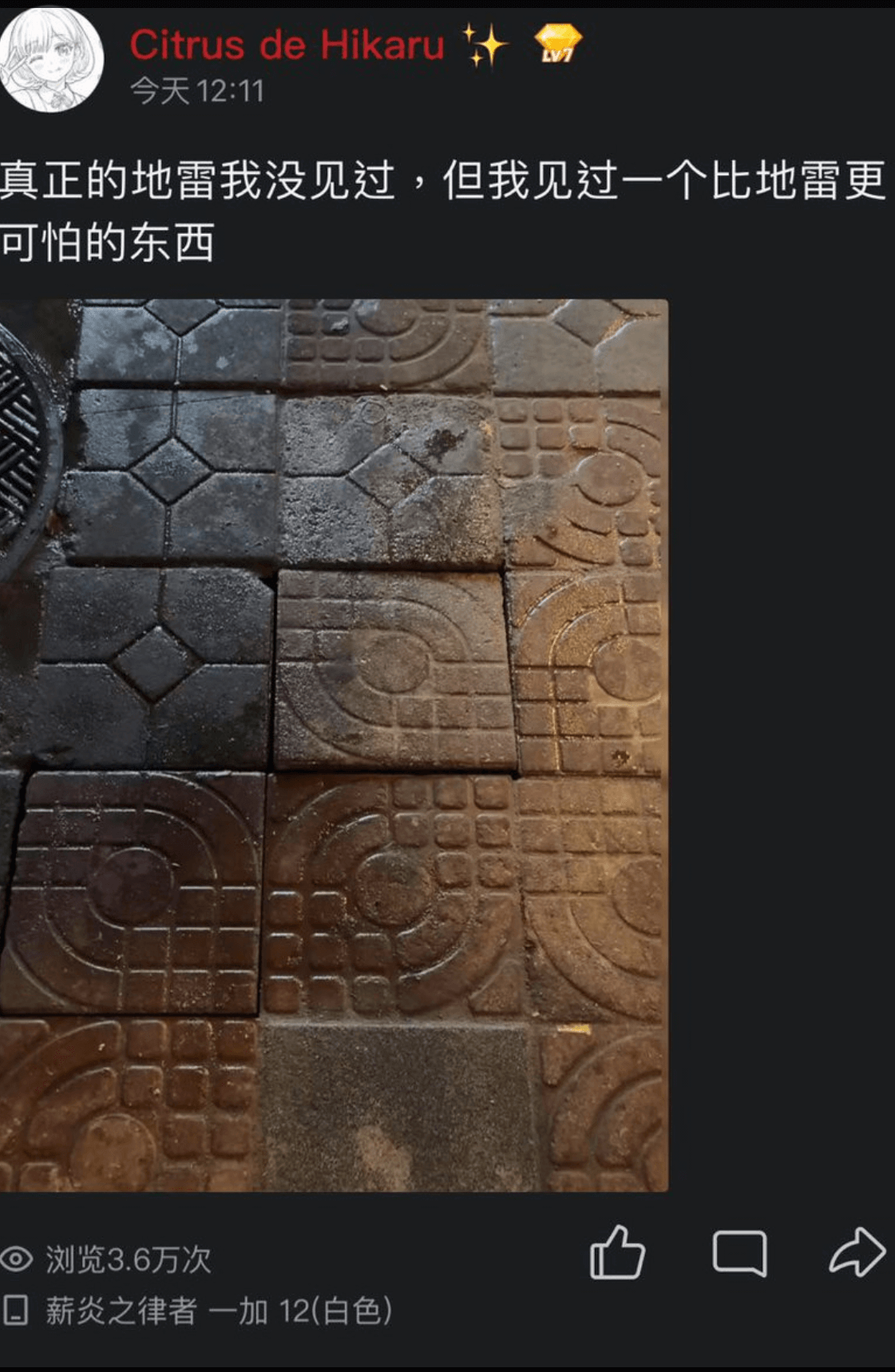 CitrusdeHikaru今天12:11真正的地雷我没见过