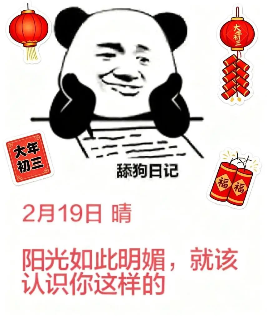 大桥三大年初三舔狗日记福福2月19日阳光如此明媚，就该认识你