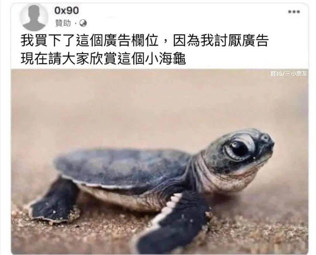 0x90赞助我质下了这个广告位，因为我奉献广告现在请大家欣赏