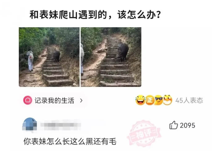 和表妹爬山遇到的，该怎么办？记录我的生活45人表态2095二