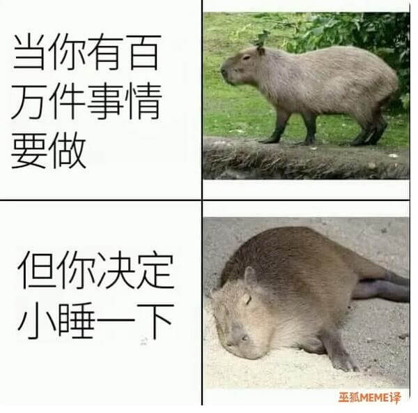 当你有百万件事情要做，但你决定小睡一下——巫狐MEME译
