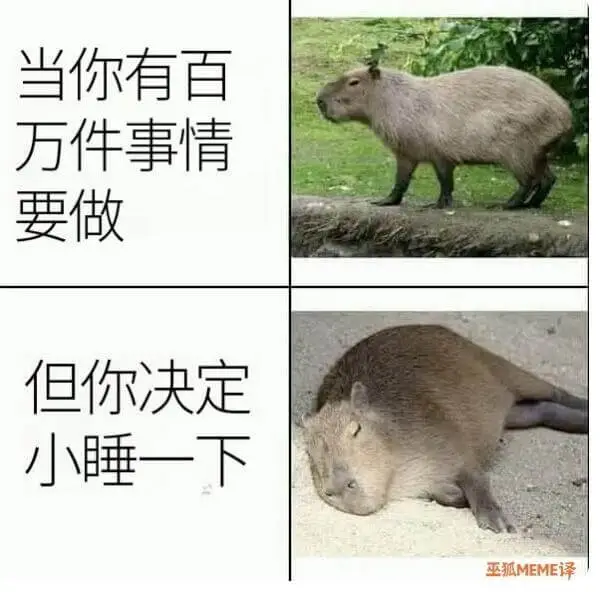 当你有百万件事情要做，但你决定小睡一下——巫狐MEME译