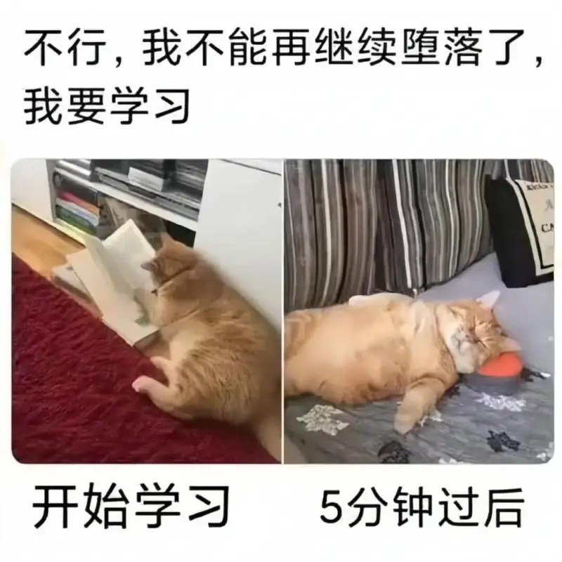 不行，我不能再继续堕落了，我要学习开始学习5分钟过后