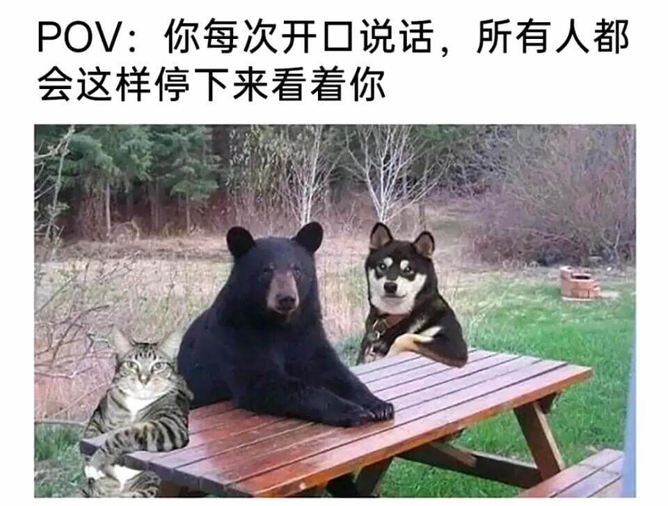 POV:你每次开口说话，所有人都会这样停下来看着你